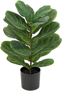 Planta artificiala Briful, plastic, negru/verde, 55,9 cm