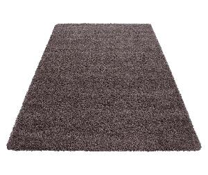 Covor Dream Taupe 160x230 cm - Ayyildiz Carpet, Maro