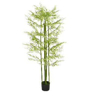 HOMCOM Plante decorative artificiale Feriga Asparagus in ghiveci Plante false pentru decor interior, exterior, 155 cm | AOSOM RO