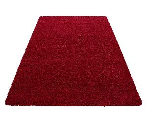 Covor Dream Red 200x290 cm - Ayyildiz Carpet, Rosu