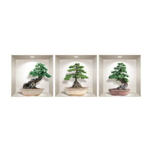 Set 3 autocolante 3D pentru perete Ambiance Ginseng Bonsai