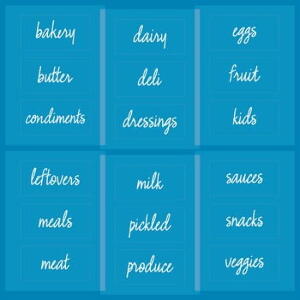 Etichete pentru produsele alimentare congelate iDesign The Home Edit
