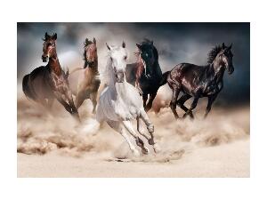 Tablou Sticla Horse Herd In The Desert, 120 x 80 cm