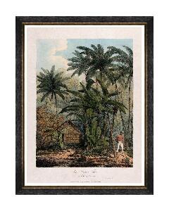 Tablou Framed Art Trees Of Krakatoa - The Plantain Tree, 60 x 80 cm