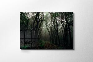 Tablou Sticla Dark Forest II 1155 Multicolor, 45 x 30 cm