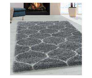 Covor Salsa Grey 200x290 cm - Ayyildiz Carpet, Gri & Argintiu