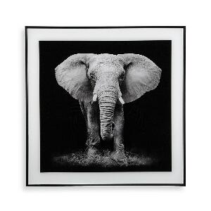 Tablou decorativ din sticla Elephant, Versa, 50x50 cm
