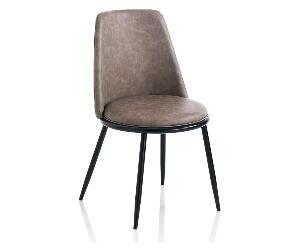 Set 2 scaune - TFT Home Furniture, Gri & Argintiu