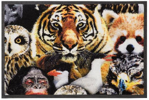 Covoras de intrare Animali by Bruno Banani, 40 x 60 cm, multicolor