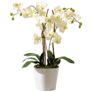 Orhidee artificiala in ghiveci de ceramica, alb