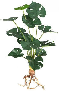 Planta artificiala Aisamco, plastic, verde, 48 cm