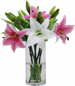 Set de 6 flori artificiale Olrla, plastic, alb/roz/verde, 36 x 15 cm