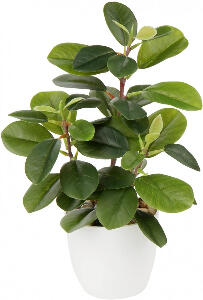 Planta artificiala Briful, plastic, verde/alb, 28 cm