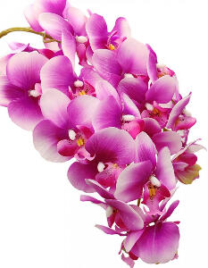 Orhidee artificiala Aisamco, 2 bucati, violet deschis, 74 cm